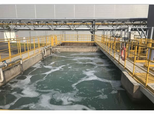 image007.jpg image007.jpg